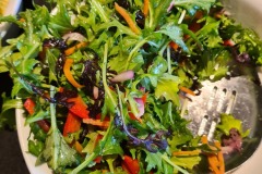 Catering Salad